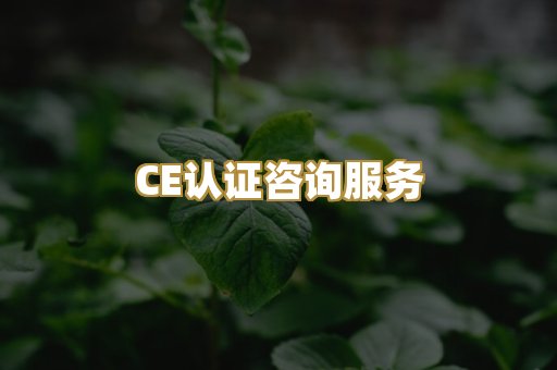 CE认证咨询服务